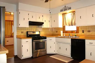 10013 S Menard Ave, Oak Lawn, IL 60453 - Photo 9