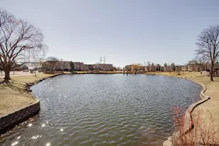 1101 S Hunt Club Dr, Mount Prospect, IL 60056 - Photo 37