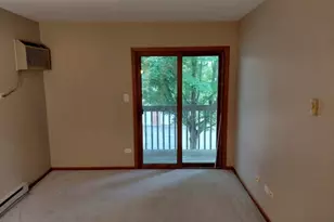 1347 Cunat Ct, Lake in the Hills, IL 60156 - Photo 9