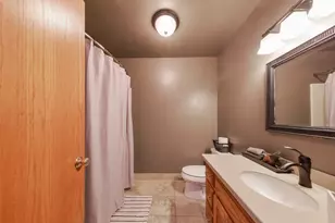 6455 Junebug Ln, Morris, IL 60450 - Photo 17