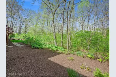 13001 Ravine Drive, Lemont, IL 60439 - Photo 65