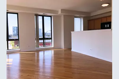 343 W Old Town Court #309, Chicago, IL 60610 - Photo 3