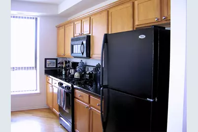 343 W Old Town Court #309, Chicago, IL 60610 - Photo 7