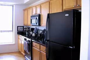 343 W Old Town Ct, Chicago, IL 60610 - Photo 7