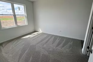 929 Covey Lane, Coal City, IL 60416 - Photo 7