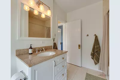 805 S Mitchell Avenue, Arlington Heights, IL 60005 - Photo 29