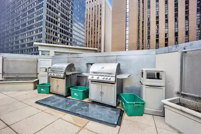 222 N Columbus Drive #4606, Chicago, IL 60601 - Photo 19