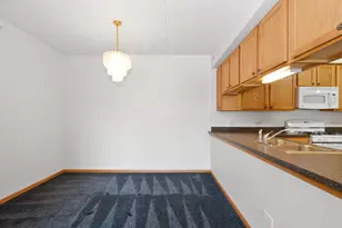 201 W Brush Hill Rd, Elmhurst, IL 60126 - Photo 23