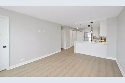 88 W Schiller Street #1107L, Chicago, IL 60610 - Photo 9