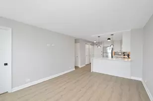 88 W Schiller St, Chicago, IL 60610 - Photo 9