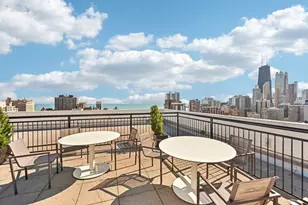 88 W Schiller St, Chicago, IL 60610 - Photo 15