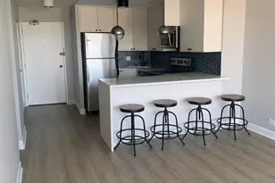 88 W Schiller St, Chicago, IL 60610 - Photo 7
