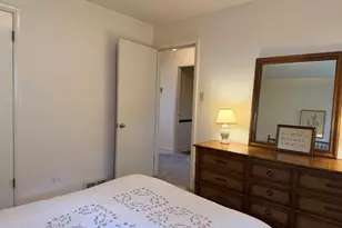 10045 S 53rd Ave, Oak Lawn, IL 60453 - Photo 21