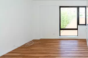 1169 S Plymouth Ct, Chicago, IL 60605 - Photo 13