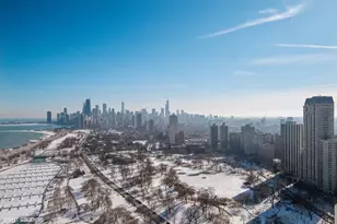 2800 N Lake Shore Dr, Chicago, IL 60657 - Photo 13
