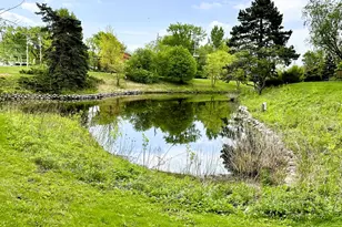 500 Redondo Dr, Downers Grove, IL 60516 - Photo 43