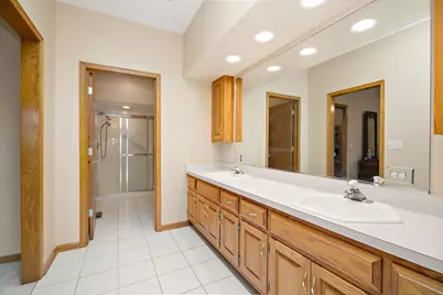 21205 Arbour Walk Drive, Frankfort, IL 60423 - Photo 21