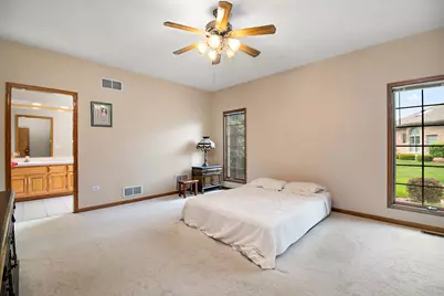21205 Arbour Walk Drive, Frankfort, IL 60423 - Photo 19