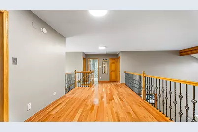 22043 Emily Lane, Frankfort, IL 60423 - Photo 43