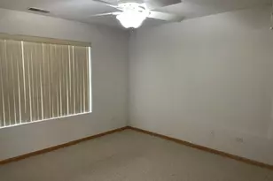 20485 Tyler Dr, Lynwood, IL 60411 - Photo 19