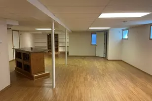 20485 Tyler Dr, Lynwood, IL 60411 - Photo 27