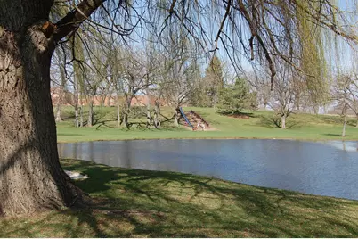 12322 Tinsley Street, Huntley, IL 60142 - Photo 15