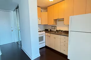 1 E Scott St, Chicago, IL 60610 - Photo 3