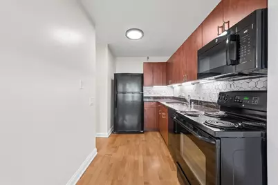 474 N Lake Shore Drive #4003, Chicago, IL 60611 - Photo 15