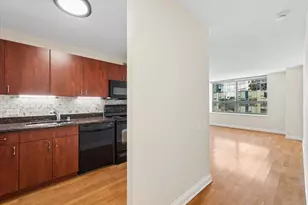 474 N Lake Shore Dr, Chicago, IL 60611 - Photo 15