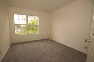 10 Beaver Creek Ct, Bolingbrook, IL 60490 - Photo 19