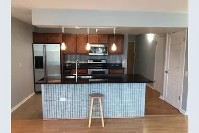3115 S Michigan Avenue #101, Chicago, IL 60616 - Photo 3
