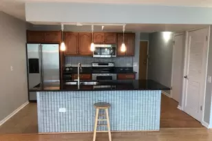 3115 S Michigan Ave, Chicago, IL 60616 - Photo 3