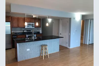 3115 S Michigan Avenue #101, Chicago, IL 60616 - Photo 5