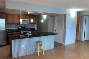 3115 S Michigan Ave, Chicago, IL 60616 - Photo 5