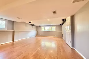 3 Catalpa Ct, Woodridge, IL 60517 - Photo 19