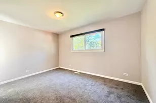 3 Catalpa Ct, Woodridge, IL 60517 - Photo 9