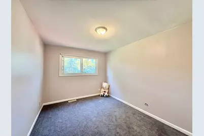 3 Catalpa Court, Woodridge, IL 60517 - Photo 13
