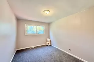 3 Catalpa Ct, Woodridge, IL 60517 - Photo 13