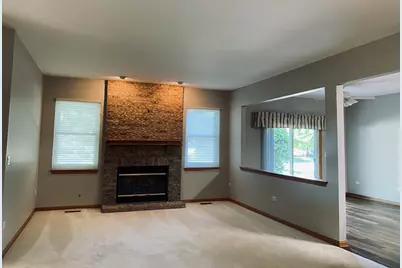 13520 S Buckthorn Lane, Plainfield, IL 60544 - Photo 9