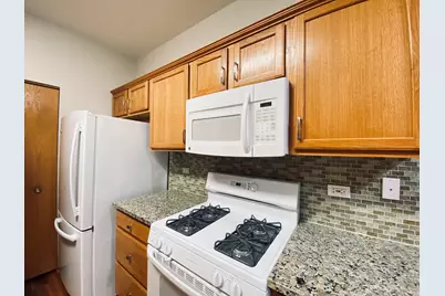 13520 S Buckthorn Lane, Plainfield, IL 60544 - Photo 11