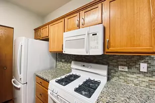13520 S Buckthorn Ln, Plainfield, IL 60544 - Photo 11