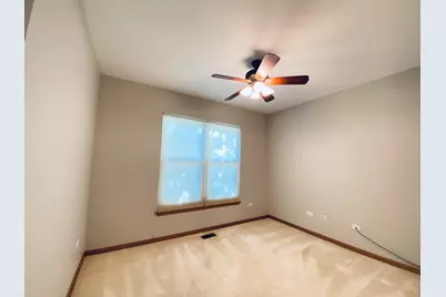 13520 S Buckthorn Lane, Plainfield, IL 60544 - Photo 5