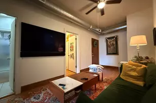 2042 W Chicago Ave, Chicago, IL 60622 - Photo 3