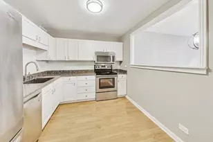 211 E Ohio St, Chicago, IL 60611 - Photo 7