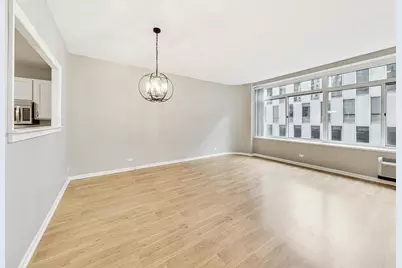211 E Ohio Street #508, Chicago, IL 60611 - Photo 5