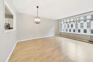 211 E Ohio St, Chicago, IL 60611 - Photo 5