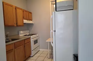 1025 W Cullerton St, Chicago, IL 60608 - Photo 7