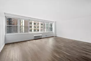 850 N Dewitt Pl, Chicago, IL 60611 - Photo 3