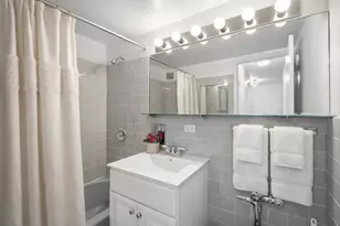 850 N Dewitt Pl, Chicago, IL 60611 - Photo 9