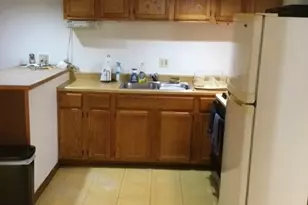 5063 N Mango Ave, Chicago, IL 60630 - Photo 3